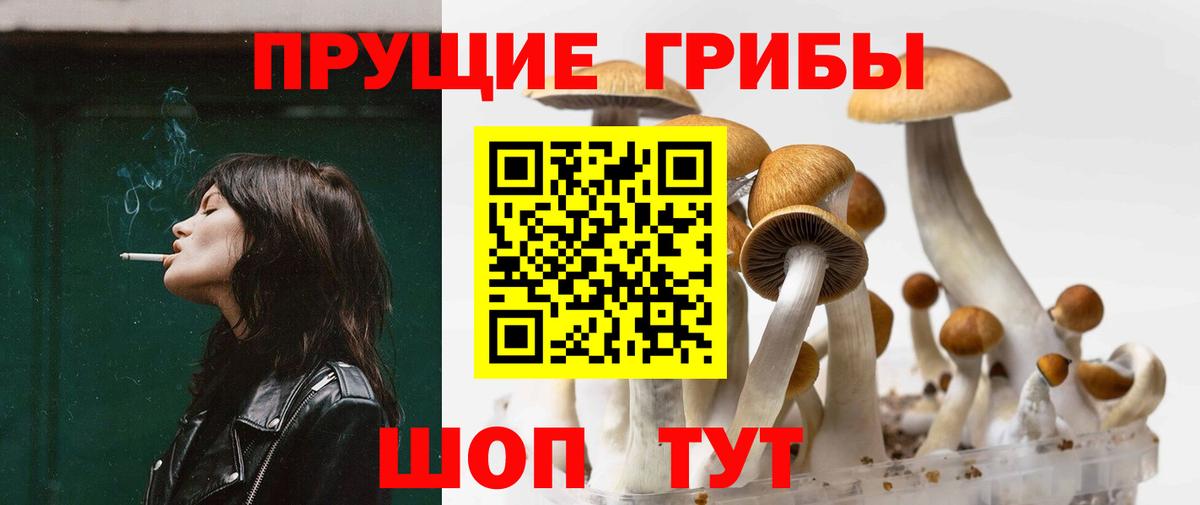 Псилоцибиновые грибы прущие грибы Октябрьский