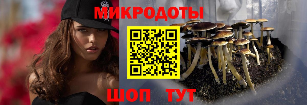 как найти   Вход с VPN  Октябрьский  Псилоцибиновые грибы ЛСД 